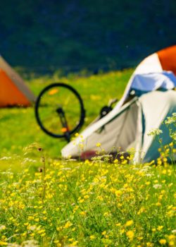 Tent and bike on summer meadow. Camping on nature. Lofoten archipelago Norway. Holidays and adventure.